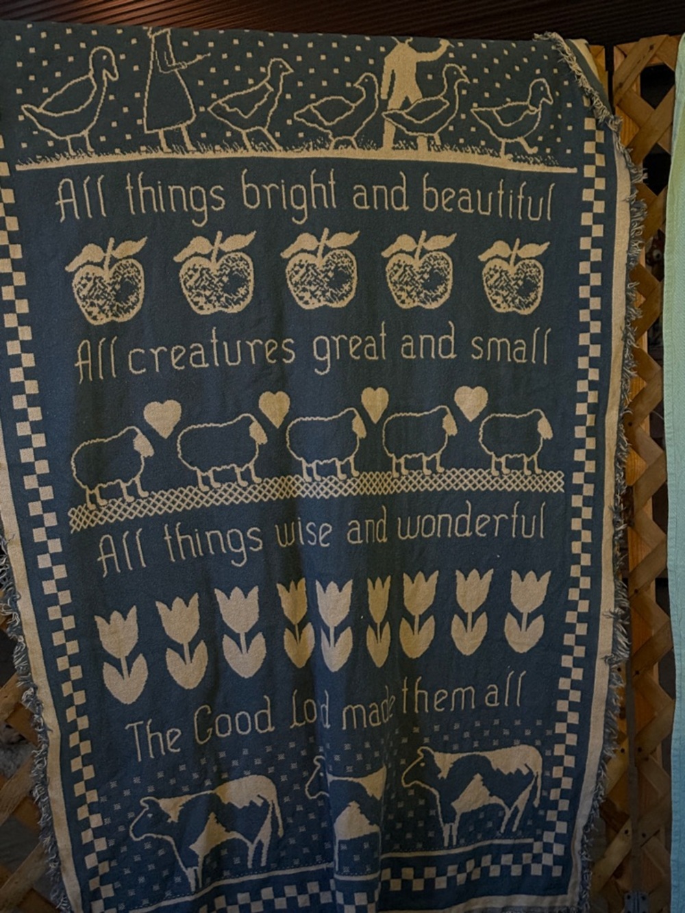 Vintage Farmhouse Throw Blanket - Blue & Cream
